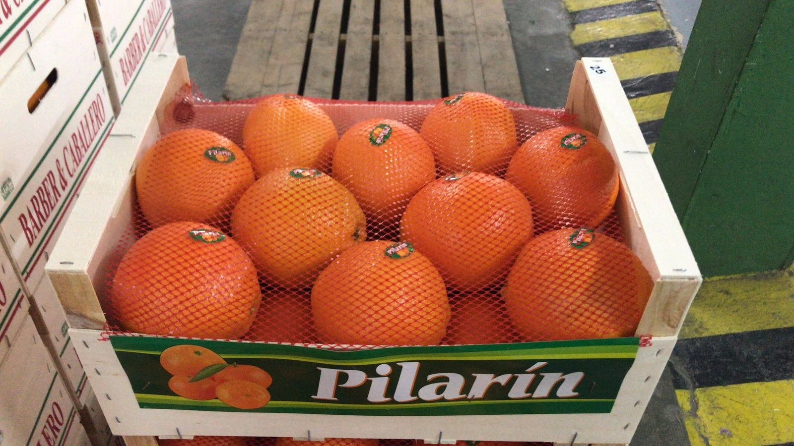Naranja Pilarin.png