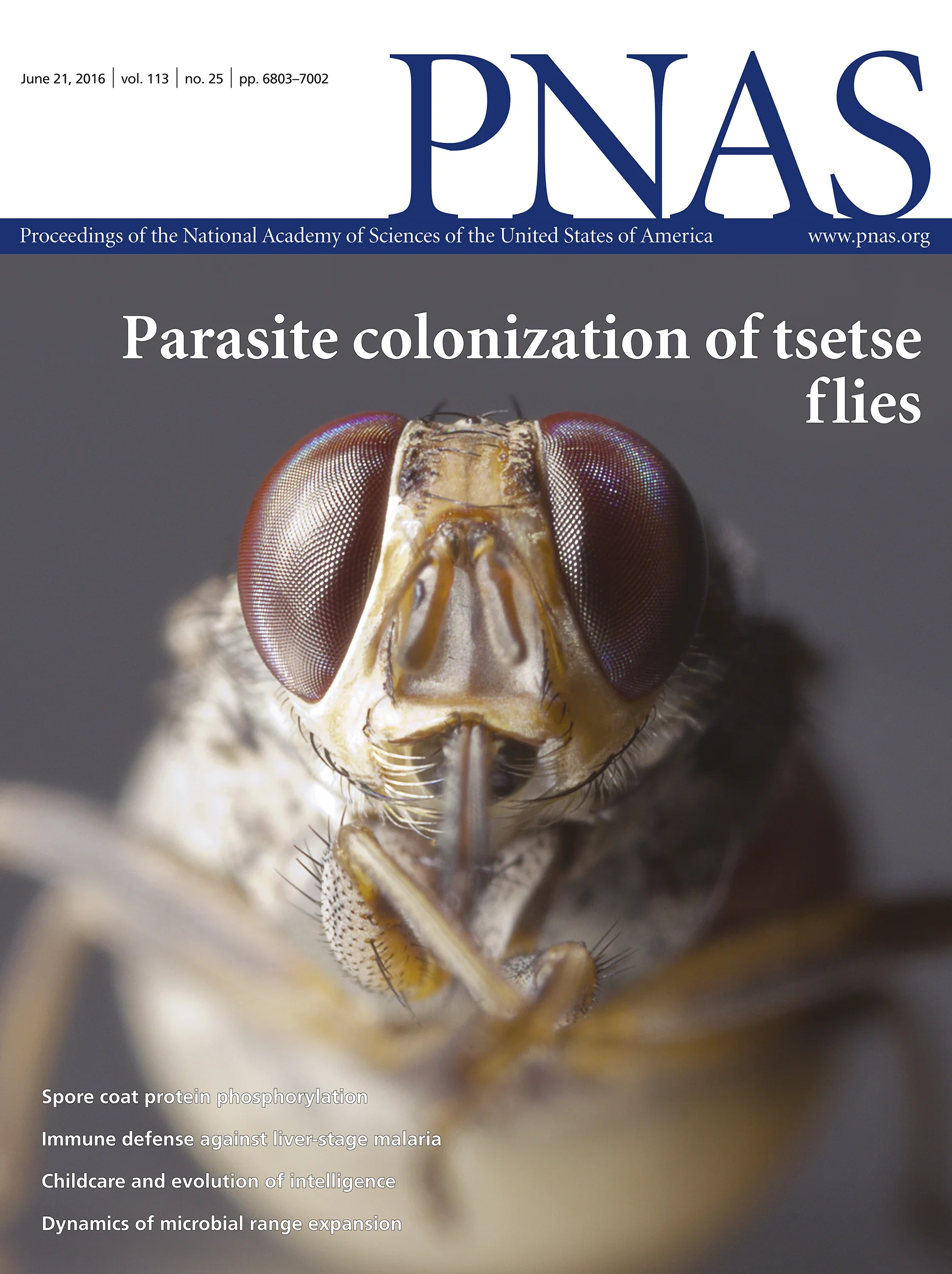 Cover Image for PNAS