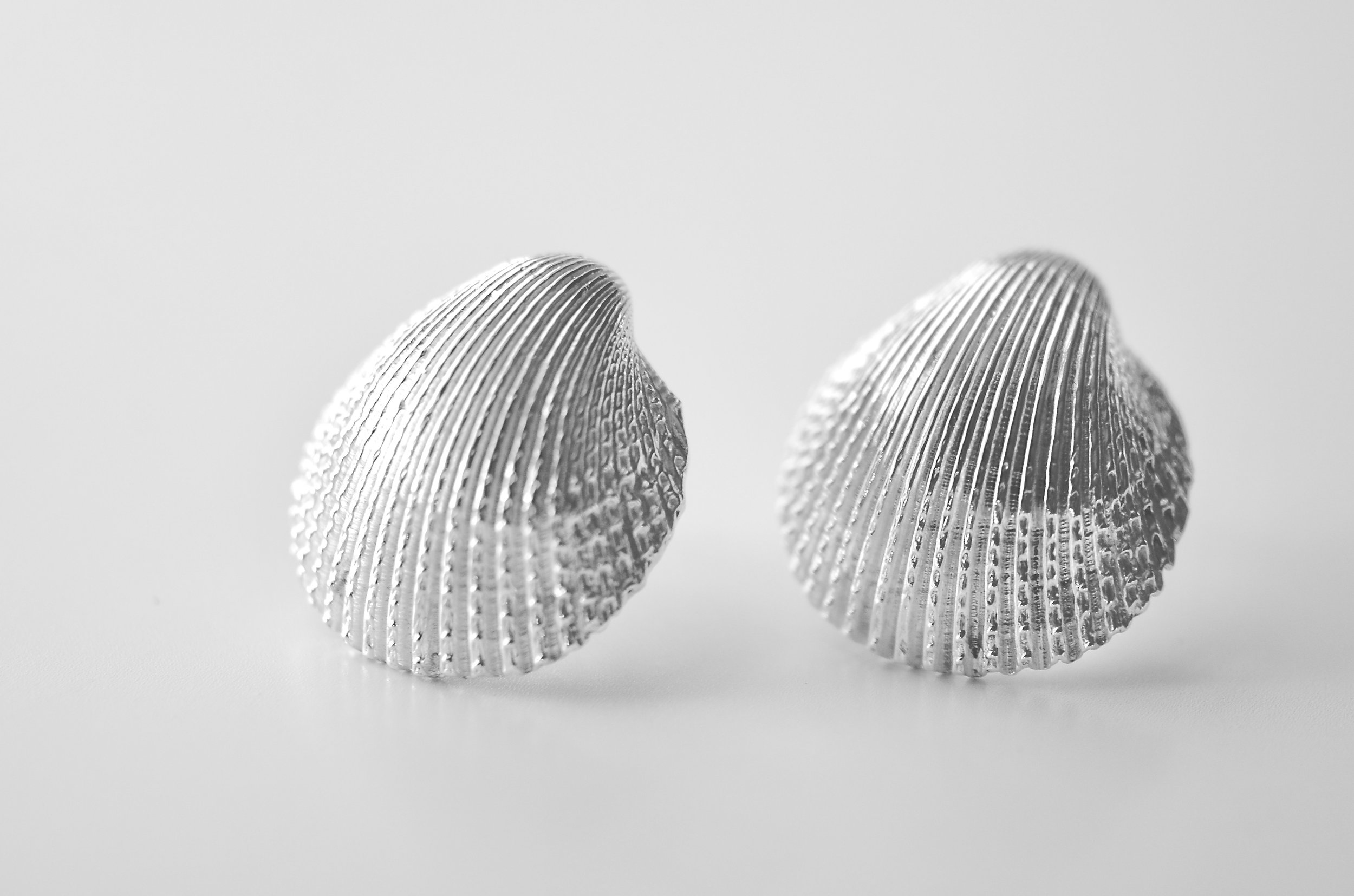 Seashell Statement Stud Earrings