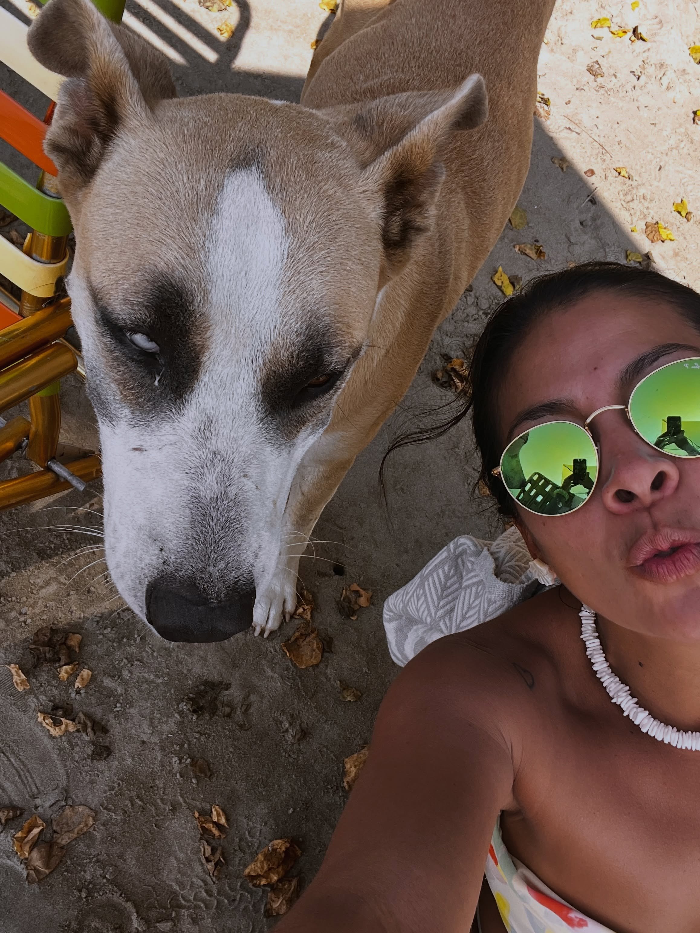 **Love is shown through generosity, and there&rsquo;s no better way to express that love than through the care we extend to our furry friends. After spending over a month in my hometown, I was heartbroken to witness the plight of so many dogs and cat