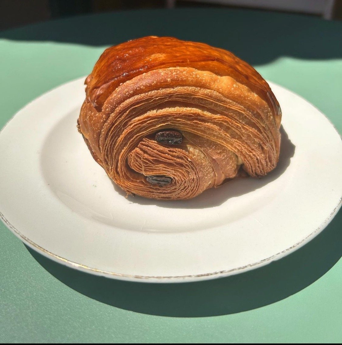 Screenshot 2023-08-25 at 10.36.01 AM.jpeg