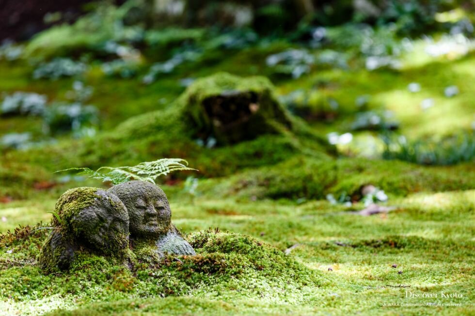 Saturday Morning Virtual Meditation with Wisdom Circle