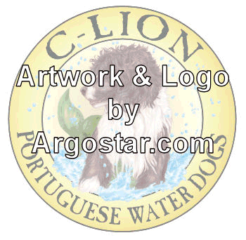 logo-creation.gif