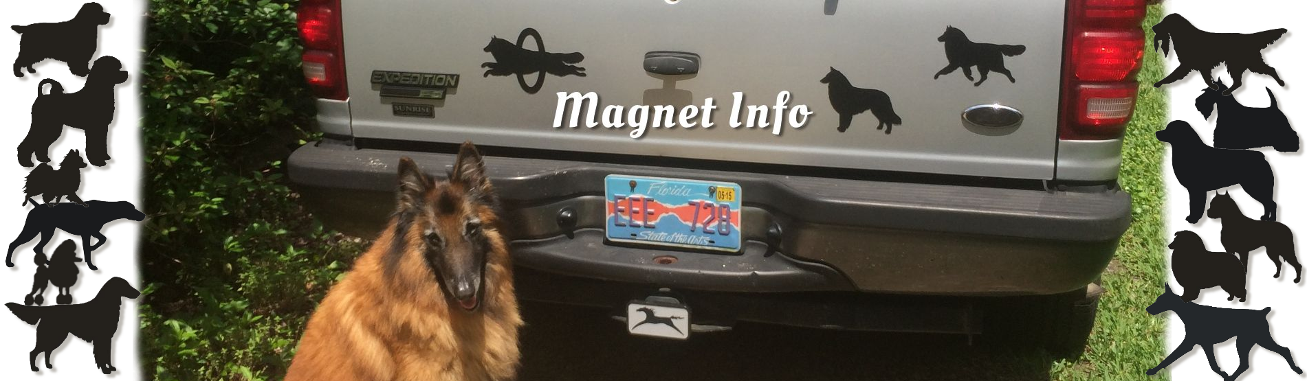 magnet1901x555header-info-text.png