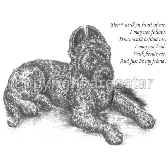 briard-friend.jpg