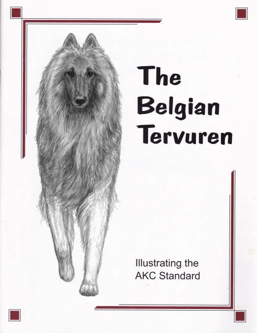 American Belgian Tervuren Club - The Belgian Tervuren, Illustrating the AKC Standard