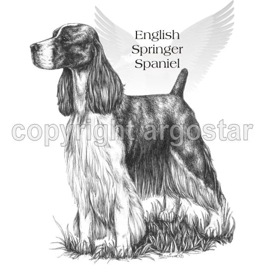 springer stand.jpg