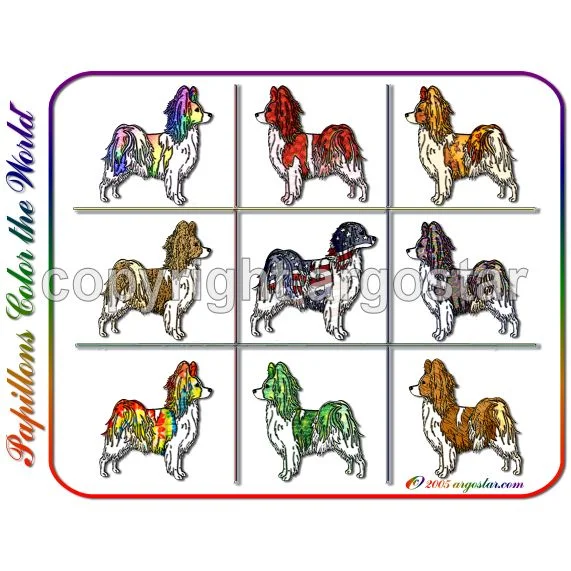 PAPILLON COLOR WORLD.jpg