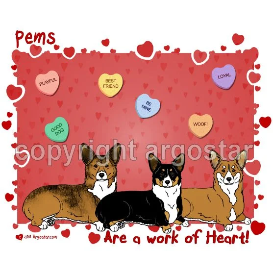 Chien Welsh Corgi Pembroke Rafale de Paline