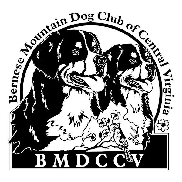 bmdccv_bwdrk_062611preview.jpg