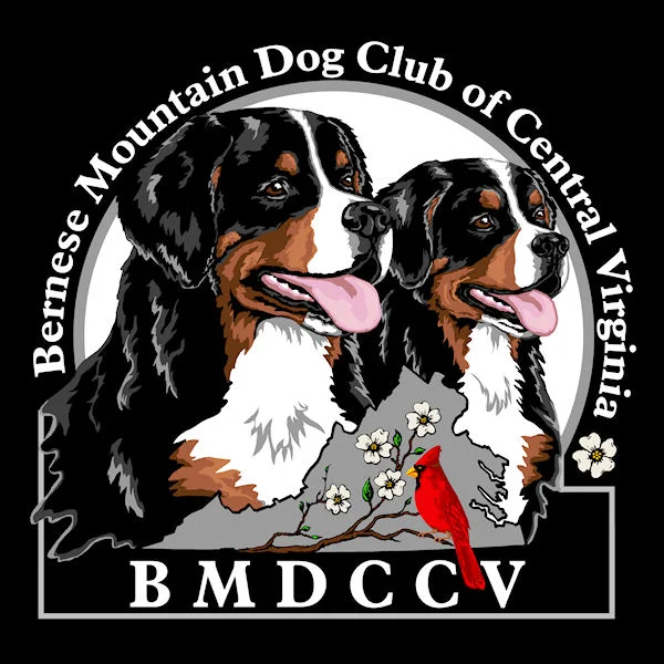 bmdccv3_whitegray.jpg