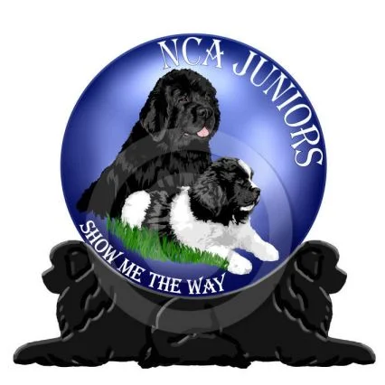 ncajrlogo_work3b_preview.jpg