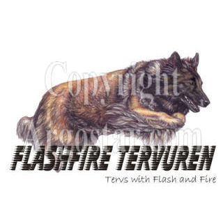 Flashfire Tervuren Logo - Style: colored pencil