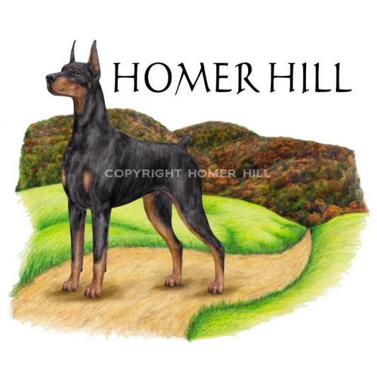 Homer Hill logo - Style: colored pencil