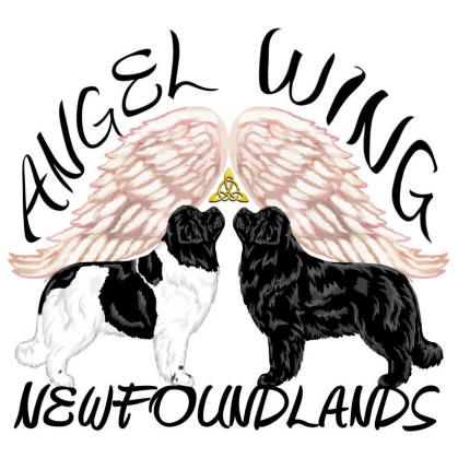 Angel Wing Newfoundlands logo - Style: colored pencil + graphic color