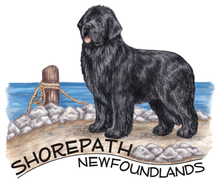 shorepathlogo.png