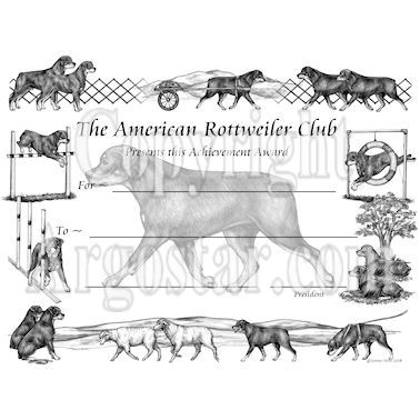American Rottweiler Club Award Certificate Design - Bitch