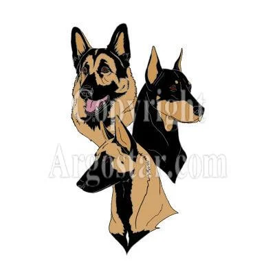 Sundogs Training Gear Logo