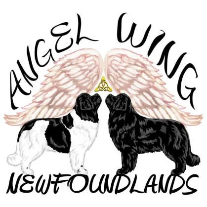 Angel Wing Newfoundlands Logo
