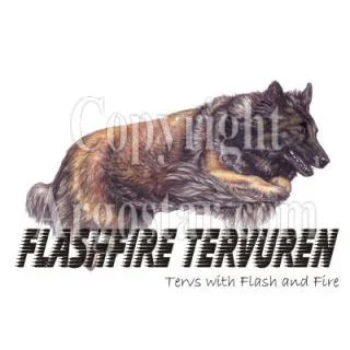 Flashfire Tervuren Logo