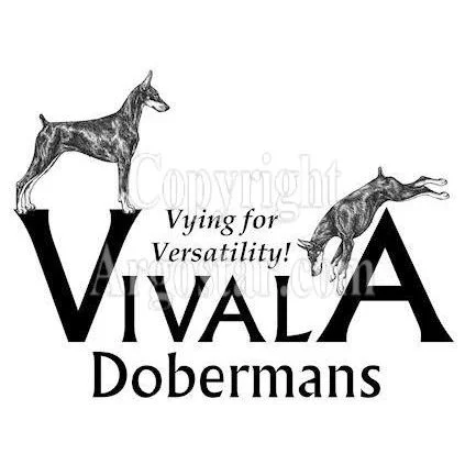 Vivala Dobermans Logo