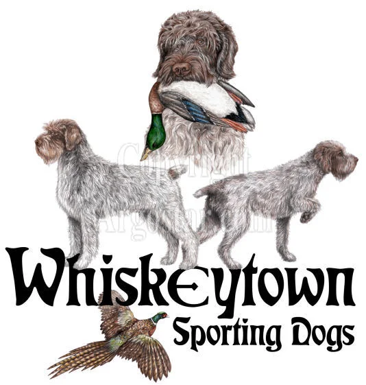 Whiskeytown Sporting Dogs Logo