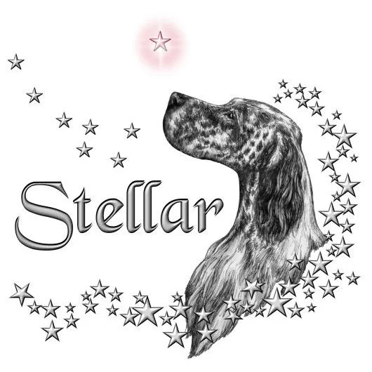 steller working logo2 102811preview.jpg