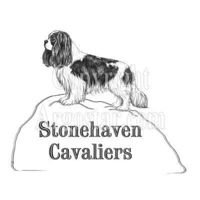 stonehaven.jpg