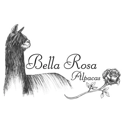 bellarosalogo.jpg