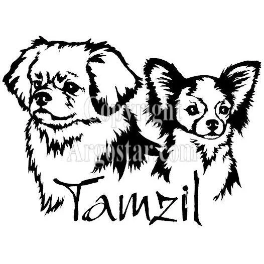 tamzil_final022410preveiw.jpg