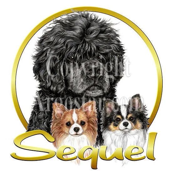 sequel_logopreview_031110.jpg