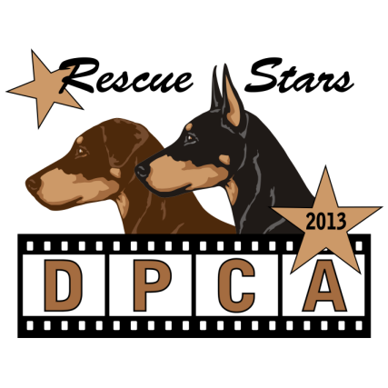 dpcarescue1_preview.png