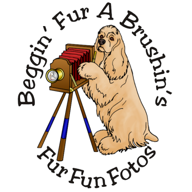 fff_logo8a_clrpreview.png