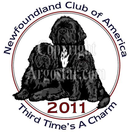 nca_logowork20_041910 colorpreview.jpg