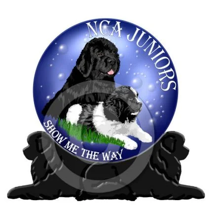 ncajrlogo_work3preview.jpg