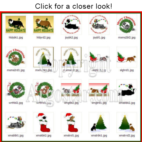 aussiexmascdsample.png