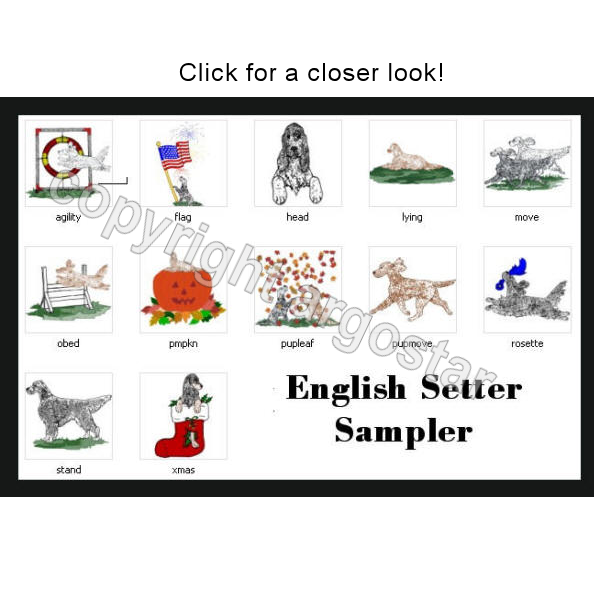 samplerengsetter.png