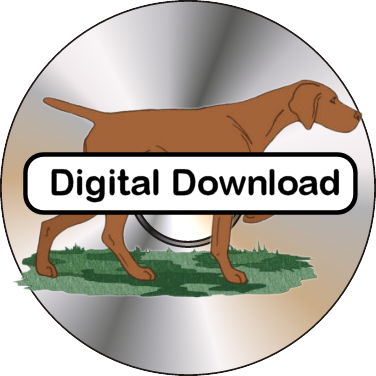 vizsla-cdsamplerdigital.png