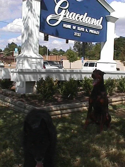 Graceland - Memphis, Tennessee