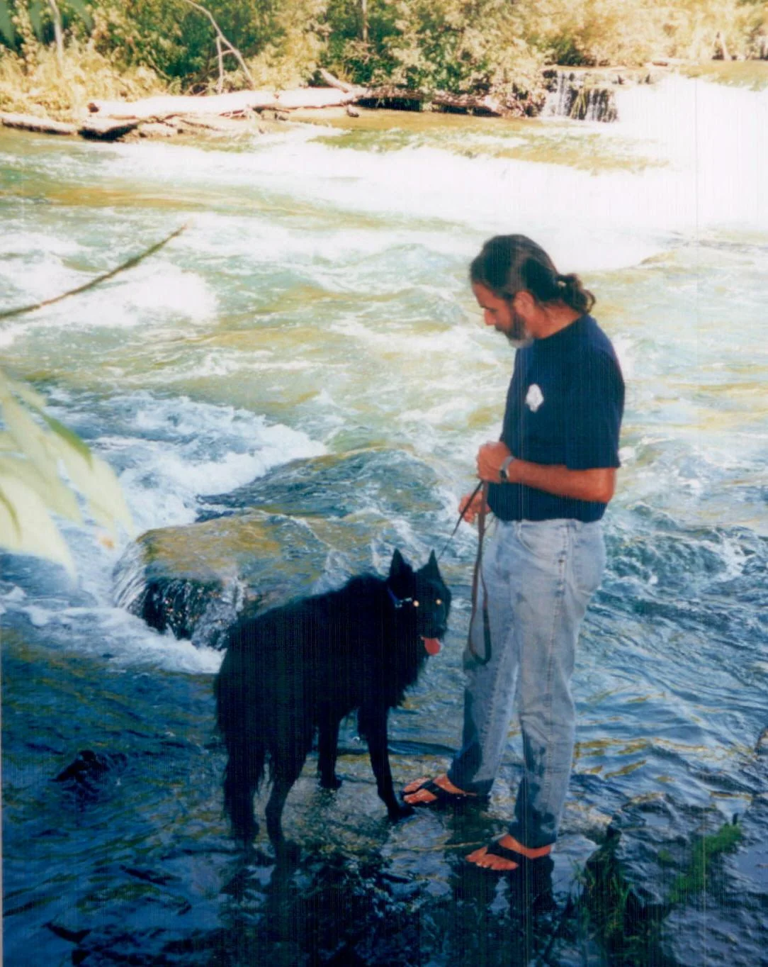 Niagara Falls, 2003