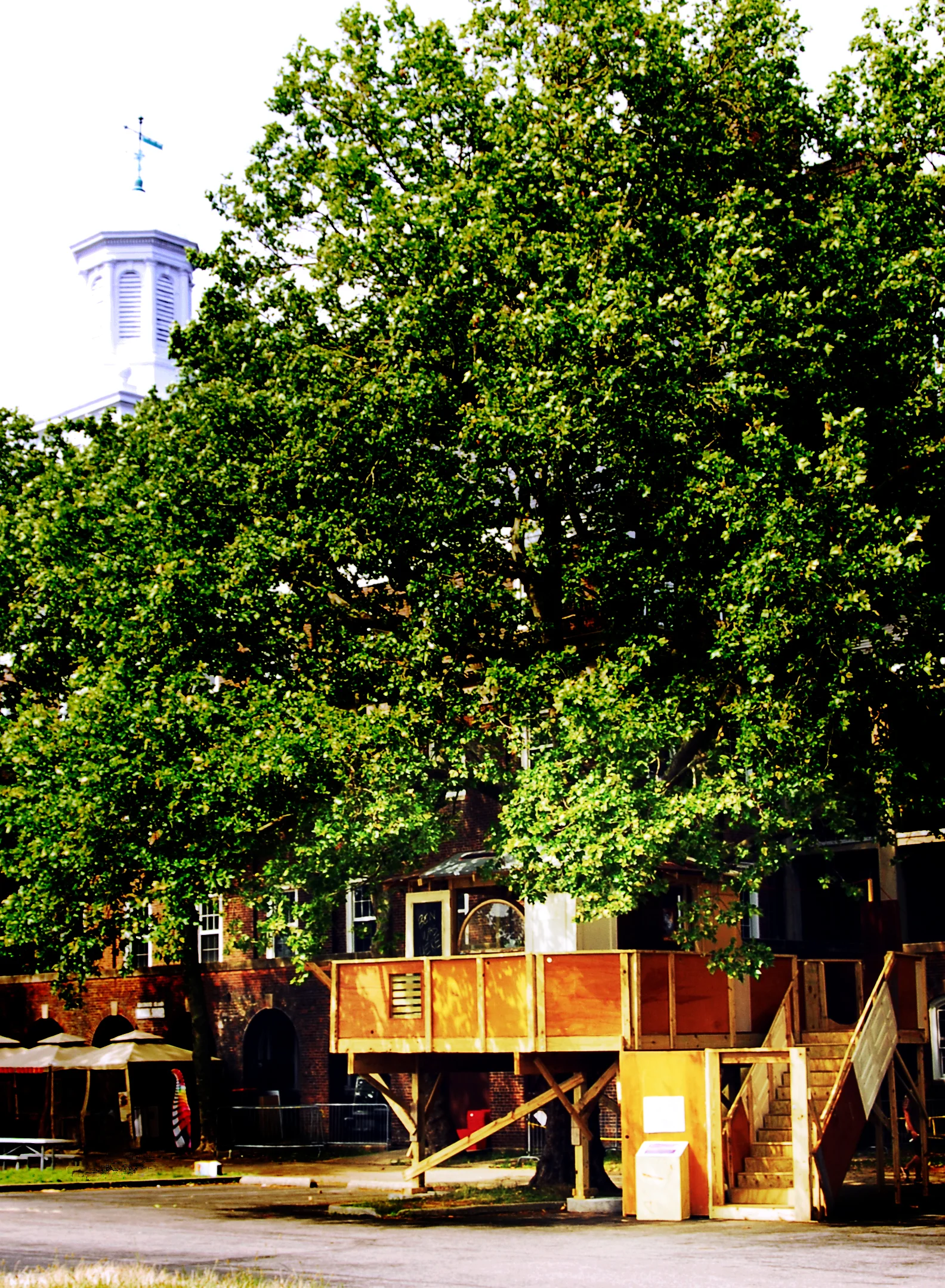 Treehouse4.jpg