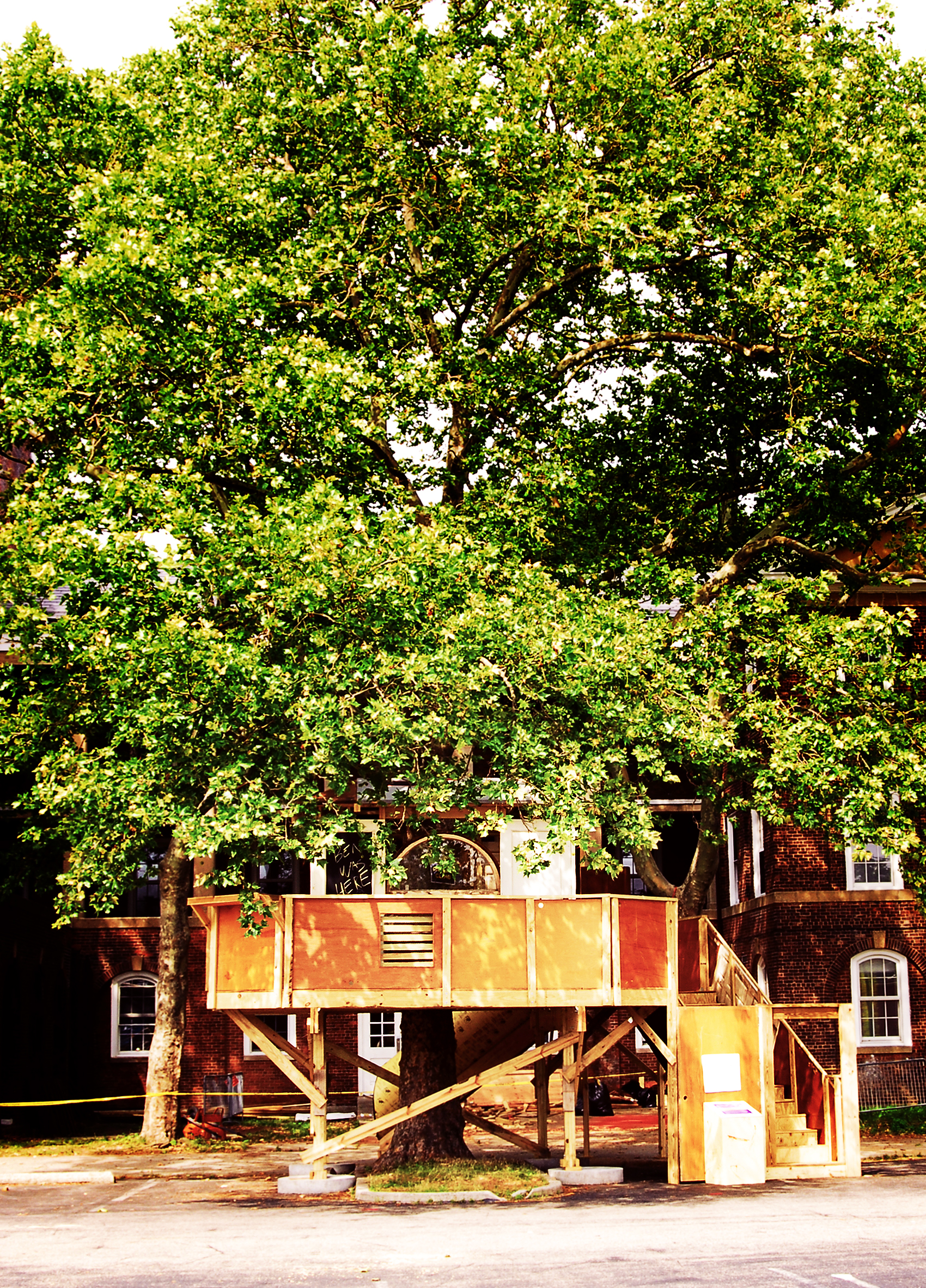 Treehouse6.jpg