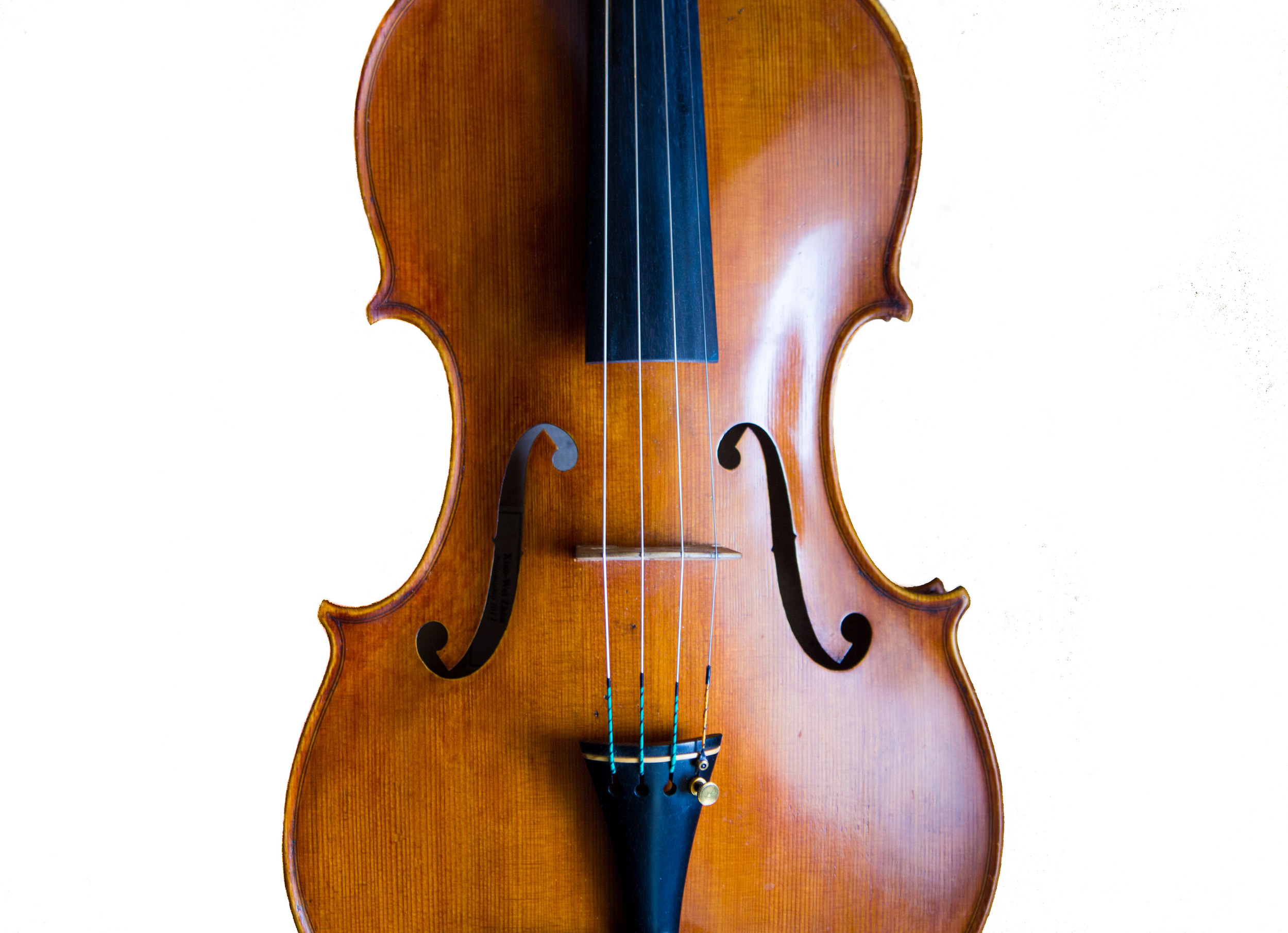 viola1-color.jpg