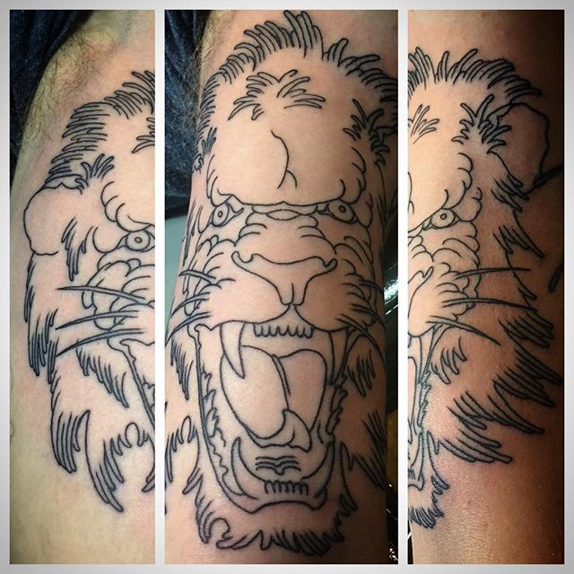 SOLD! #liontattoo #tattoo #lines #artcore #sosoft