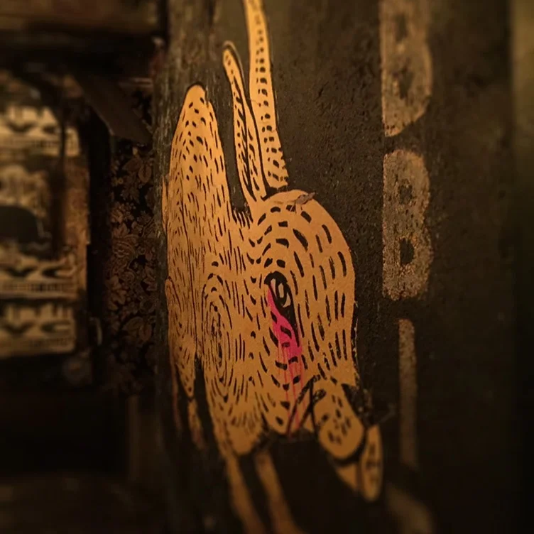 Down the Rabbit Hole