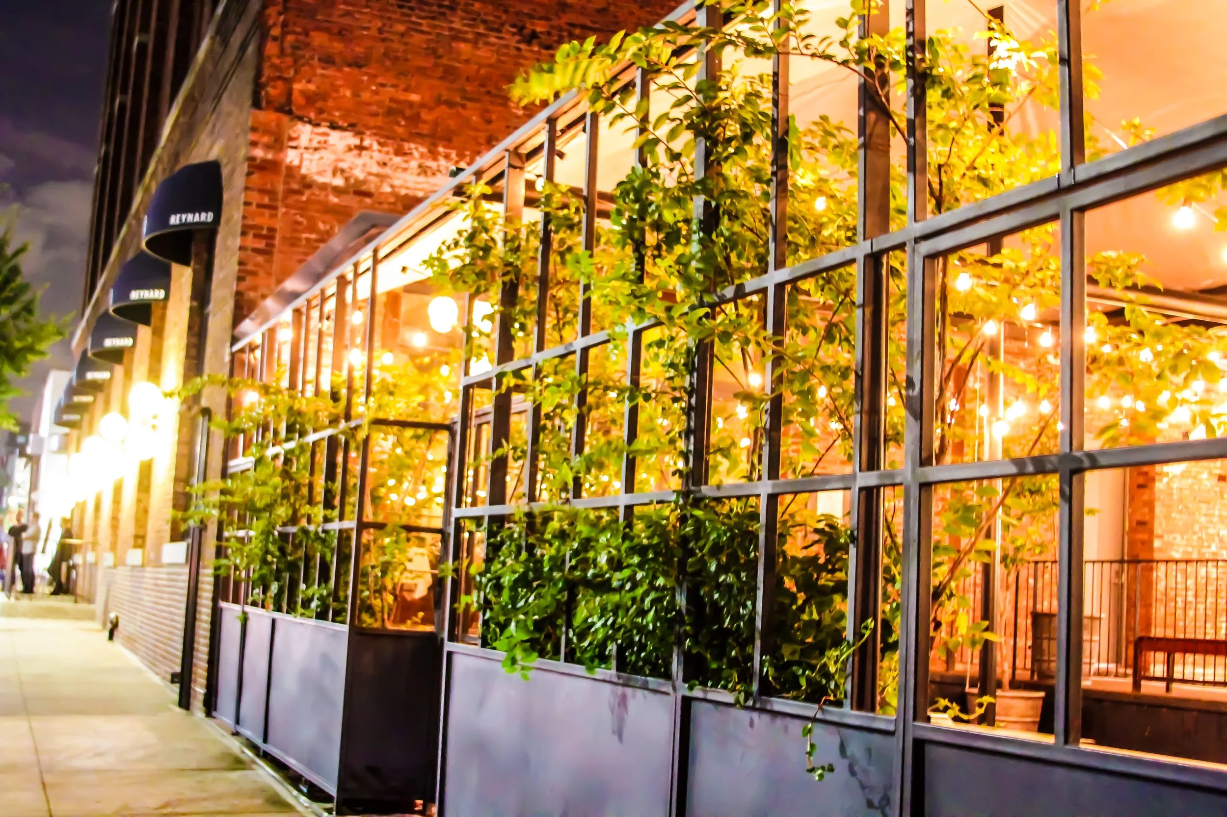 File Aug 18, 4 33 41 AM.jpeg