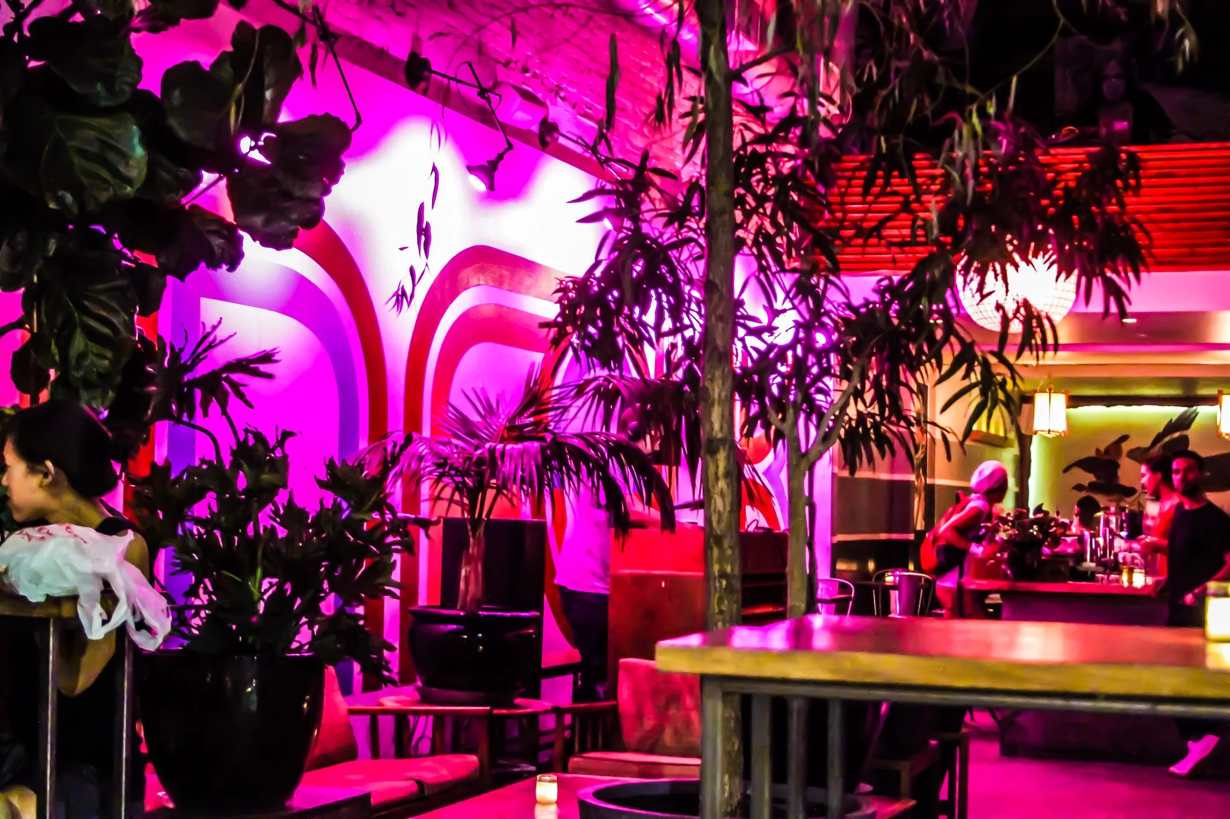 File Aug 18, 4 04 17 AM.jpeg