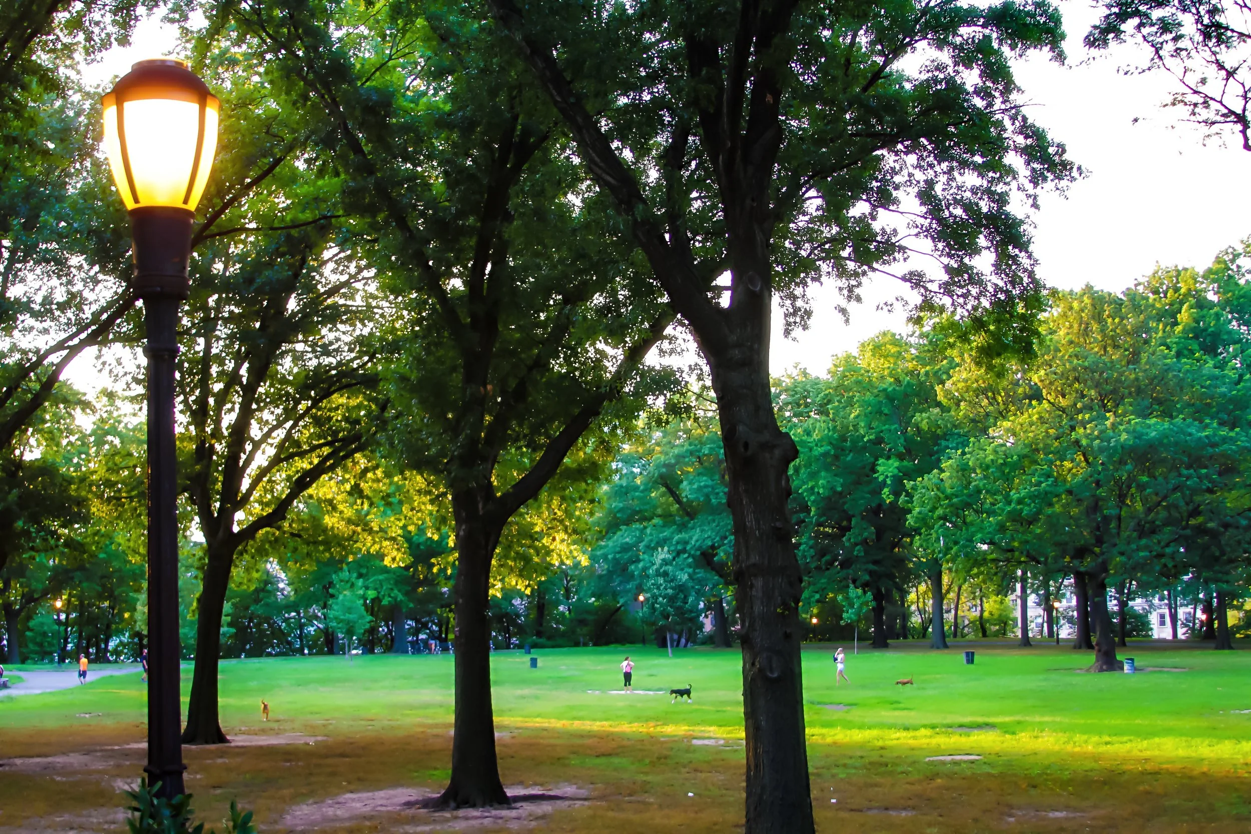 File Aug 16, 12 13 48 AM.jpeg