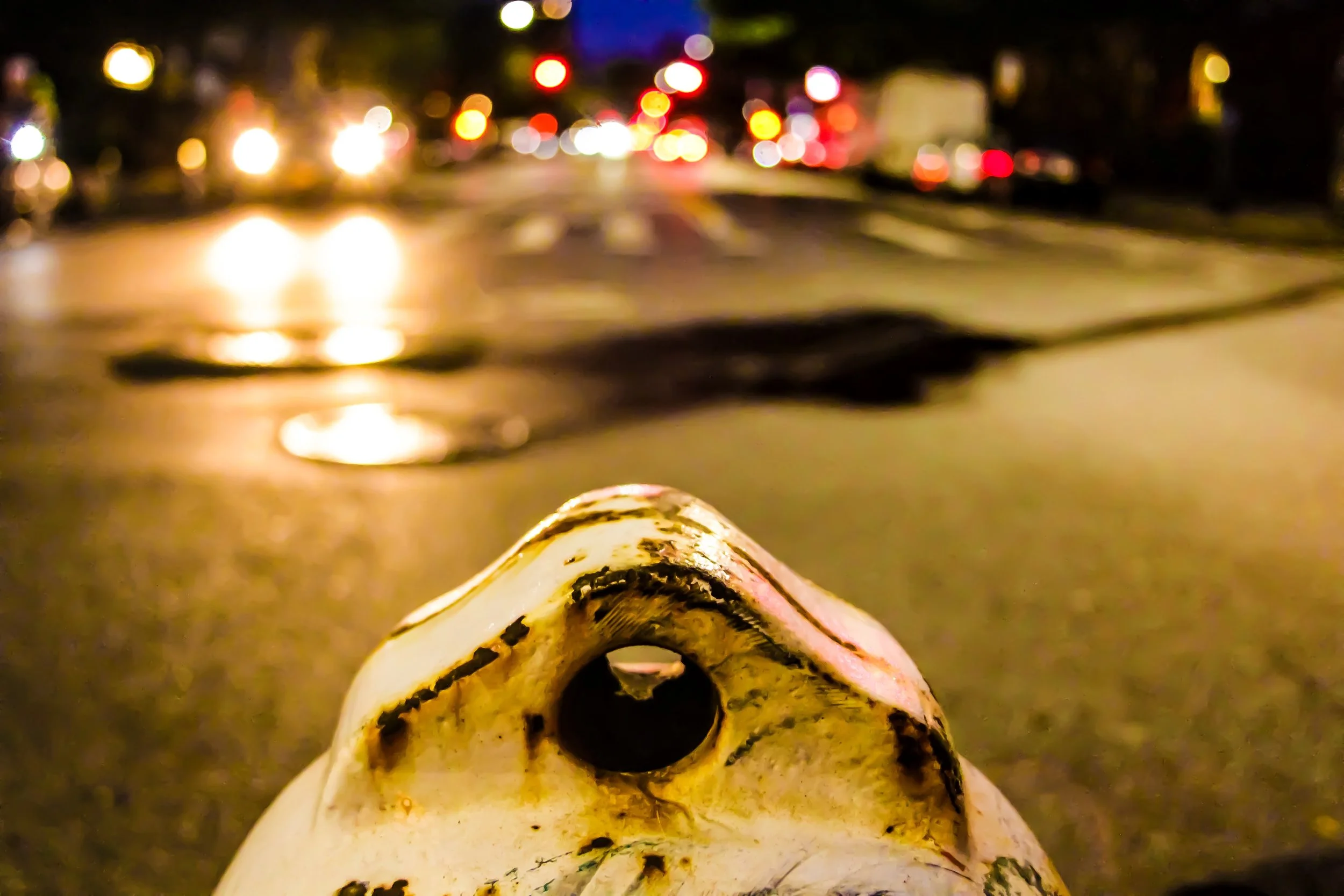 File Aug 16, 12 34 27 AM.jpeg