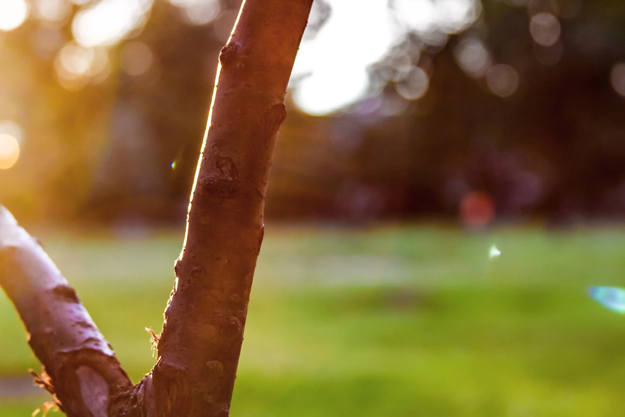 File Aug 18, 3 21 50 AM.jpeg